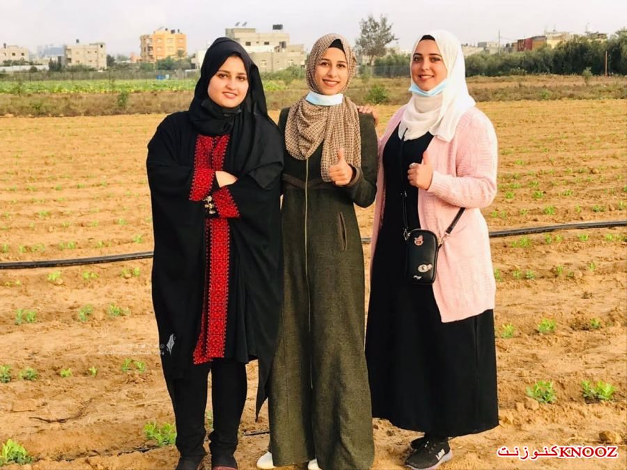 فتيات خريجات يزرعن على حدود غزة